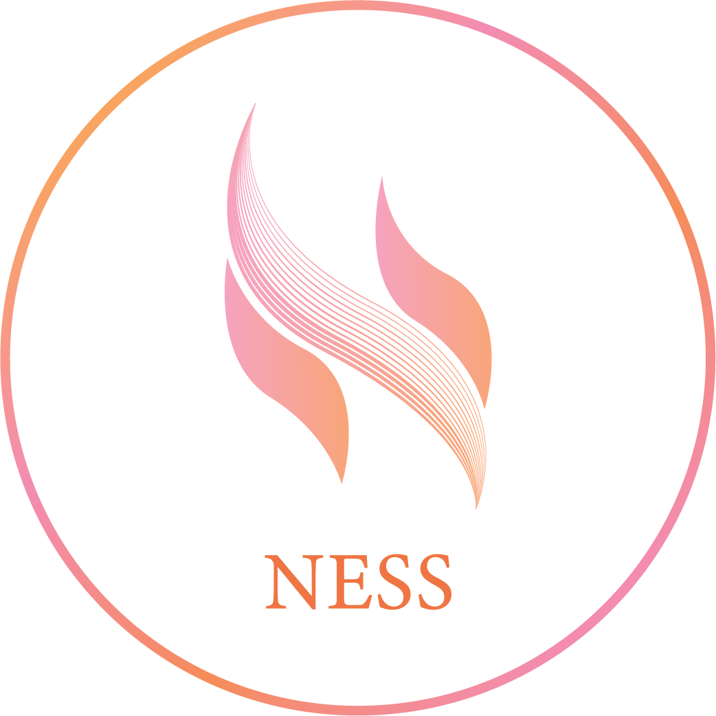 https://www.nesslash.com